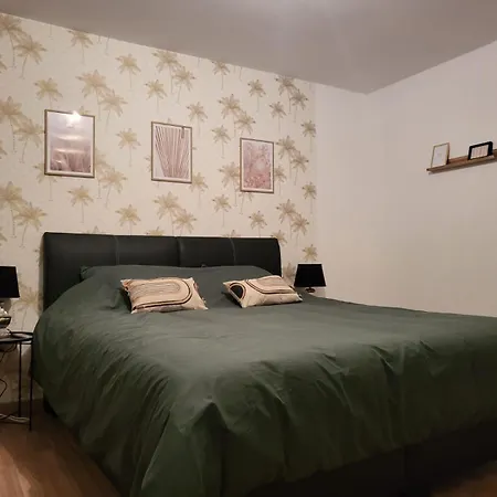 Villa Maison 5 Proche Basel Germany *